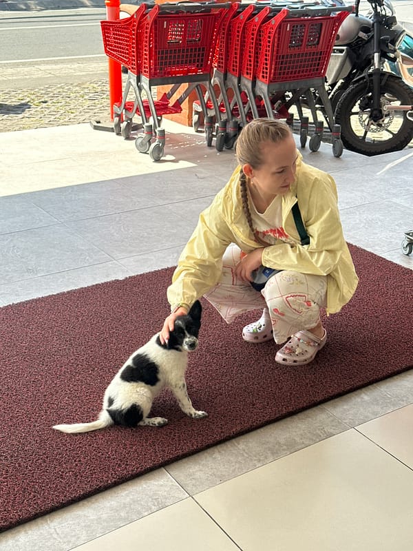 Puppy with a heart marking at a North Kuta shop