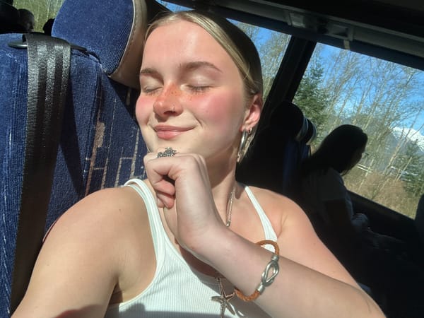 Person in white tank top observed in vehicle, Garibaldi area