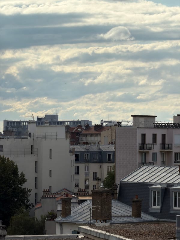 Rooftop views across Paris under a dramatic summer sky
