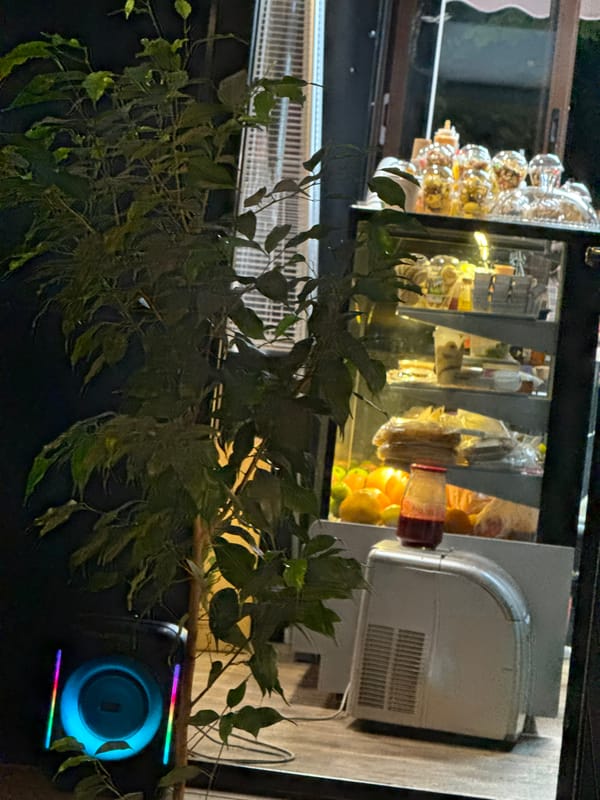 Dusk café stop and convenience store browse in Vladikavkaz