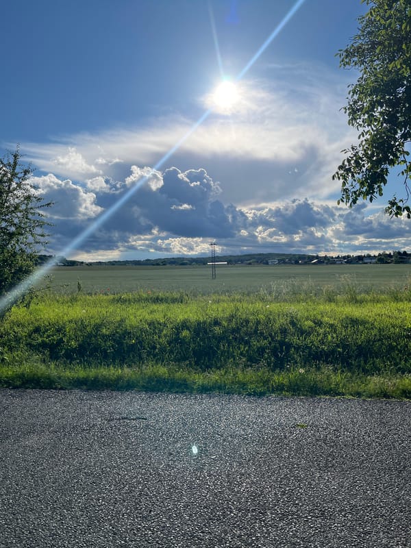 Rural trail walk documented through countryside landscapes and educational markers