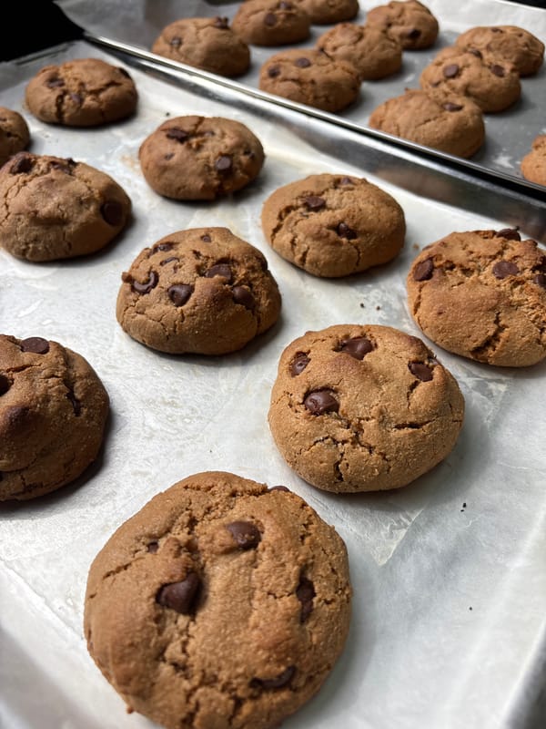 Fresh chocolate chip cookies baked in Naucalpan de Juárez
