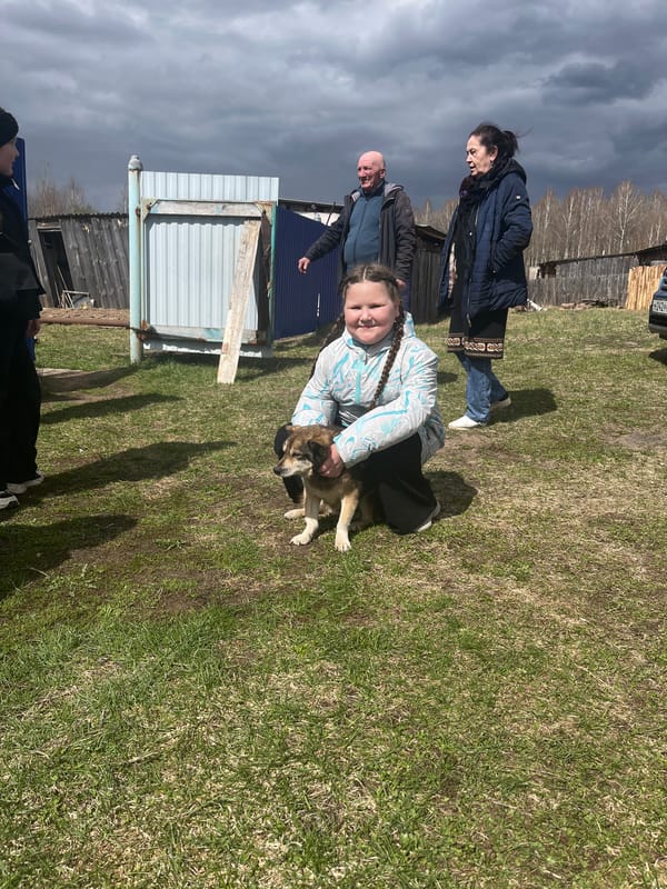 Woman pets animal in rural Буренка under dramatic skies