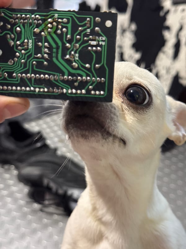 Person examines circuit boards with chihuahua in Sofia