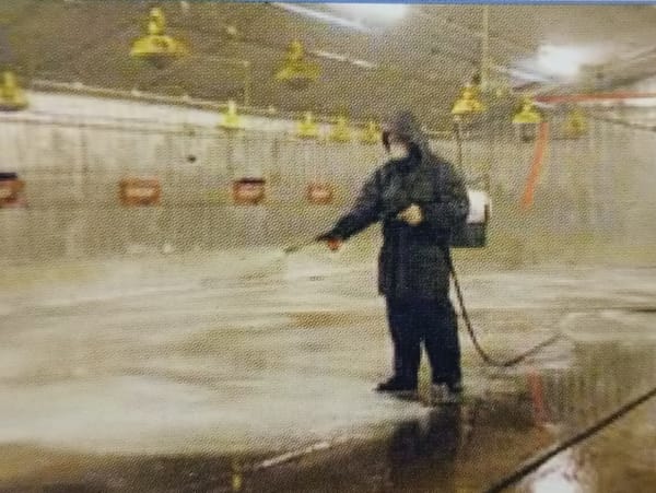 Industrial site documentation mixed with reference materials, Mansehra