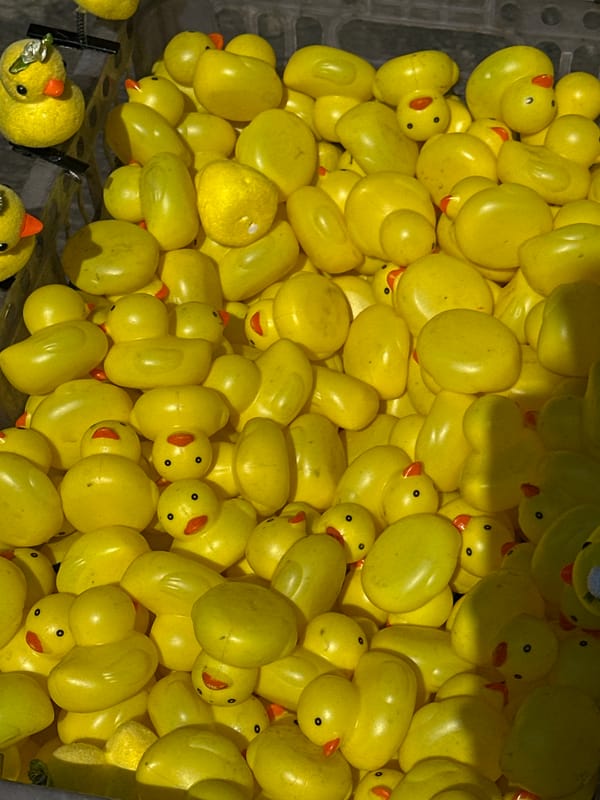 Bangkok witnesses document rubber duck arrangement and indoor scenes