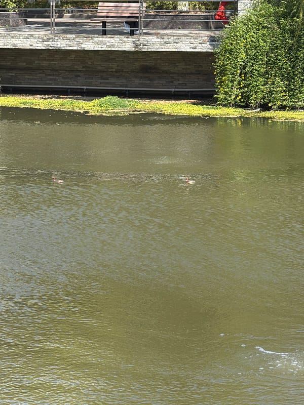 Late-night observations capture everyday scenes across Jiangning District