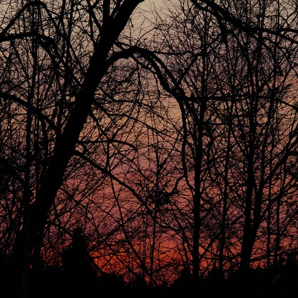 Evening outdoor cooking and moon photography session in rural Belarus