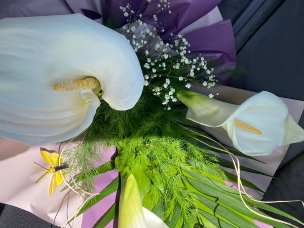 White calla lily bouquet with butterfly decoration spotted in Varna