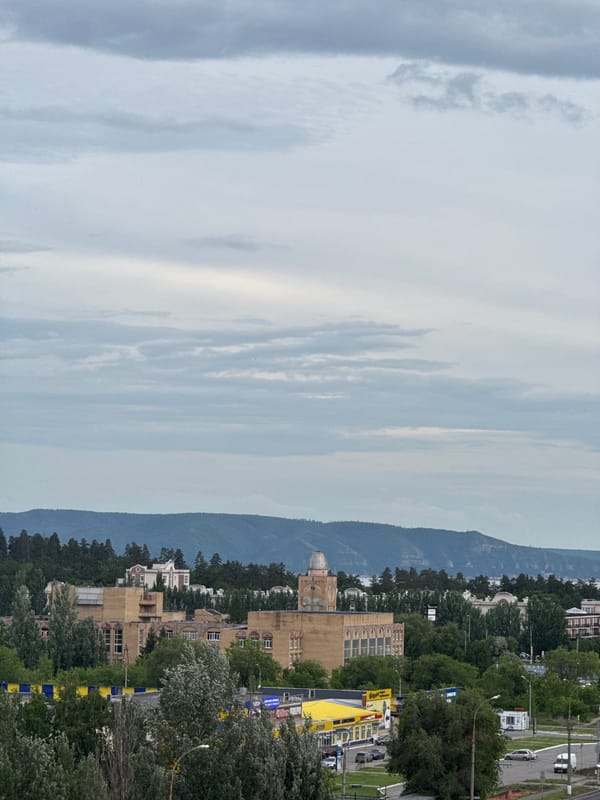Urban afternoon glimpses: cats, cityscapes, and cloudy skies