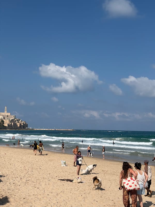 Busy summer morning across Tel Aviv's beaches