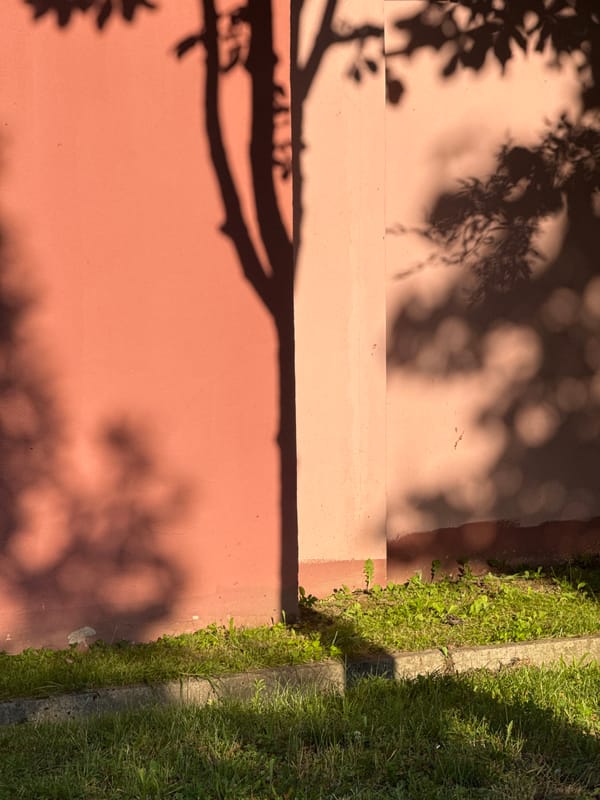 Street-level details: murals, berries, and shadow play