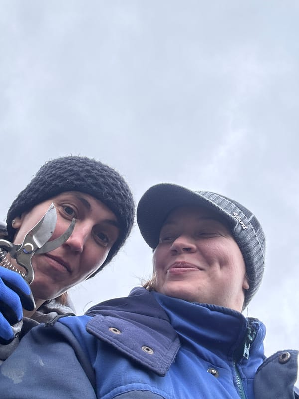 Two people take selfies in Russian village under overcast sky