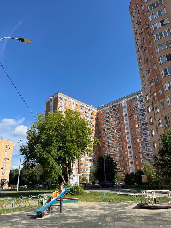 Playground and urban forest outing in Balashikha, Russia