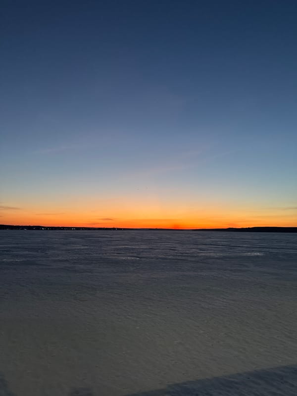Quiet domestic moments with pet and baby in Votkinsk