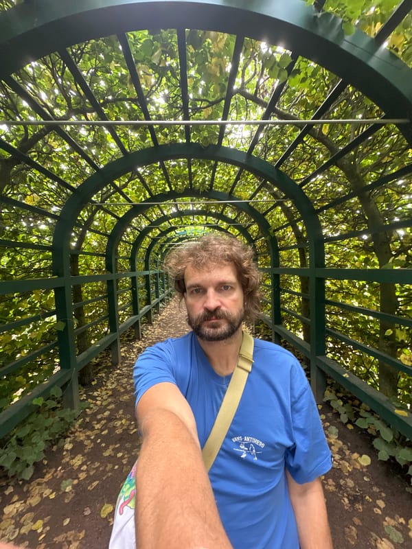 Peterhof Palace gardens and Grand Cascade fountains, July morning