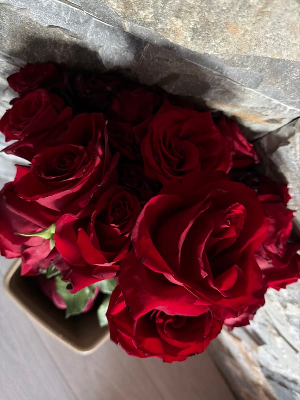 Red rose bouquet captured in Sofia arrangement
