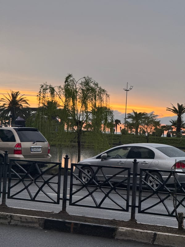 Batumi evening street scene and indoor dog captured simultaneously