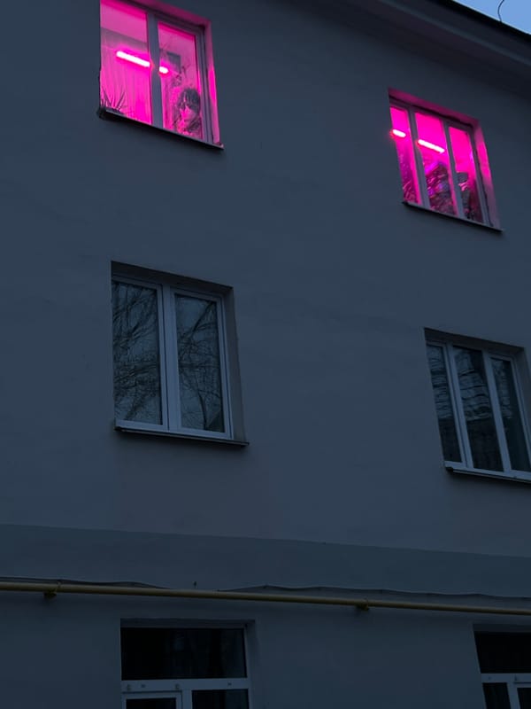 Pink-lit windows observed in Kazan building facade