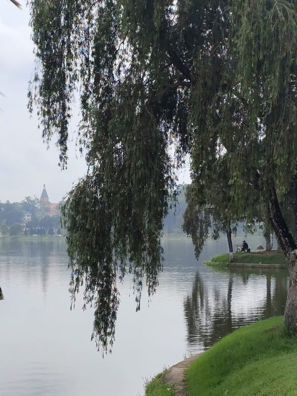 Peaceful lakeside moment captured in Da Lat, Vietnam