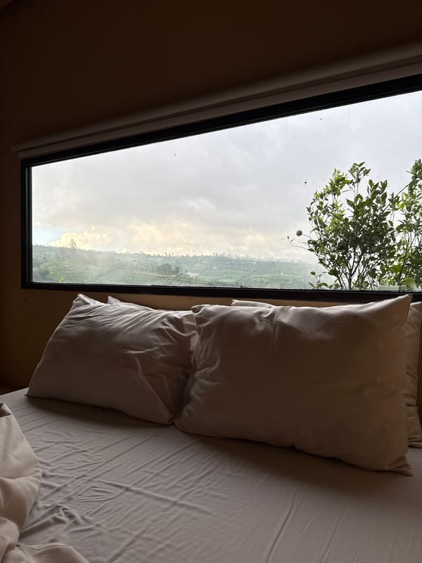 Rainy morning view from bedroom window in Petang, Indonesia