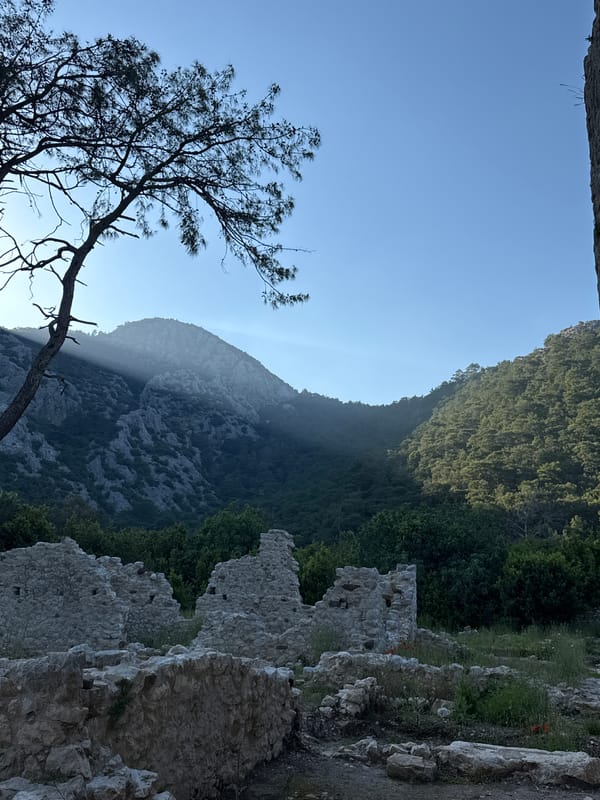 Spring wildflowers bloom among ancient ruins in Kumluca, Turkey