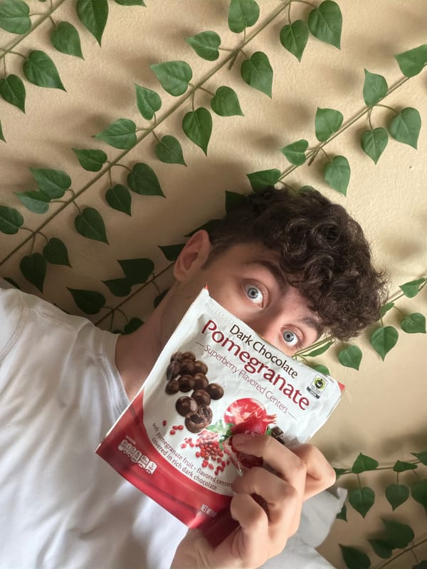 Quiet afternoon moments captured in River Forest homes