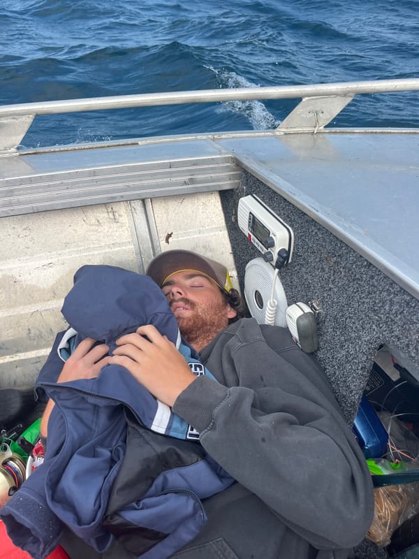 Quiet maritime moments captured near Lilyvale waters