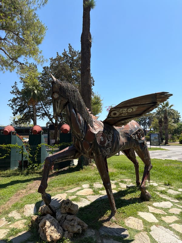 Sunny morning walk past sculptures, gardens, and local spots