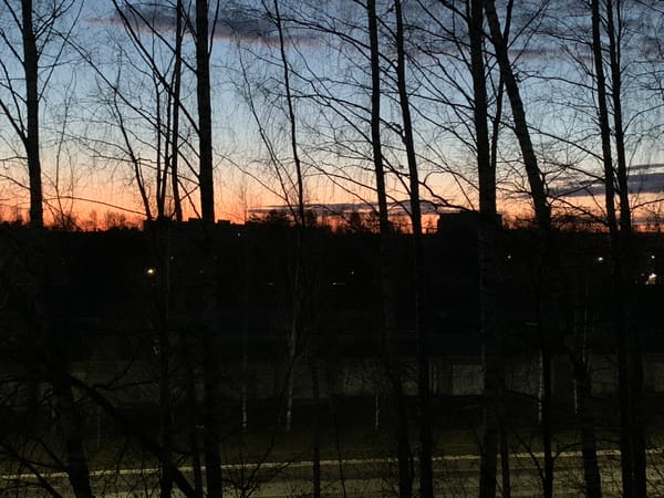 Twilight landscape captured through bare trees in Chaikovsky, Russia