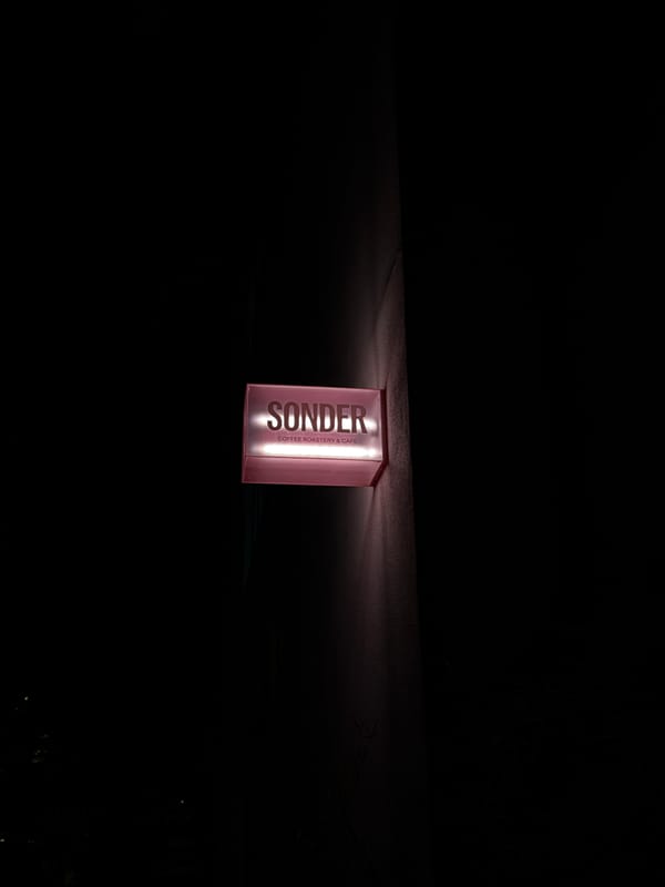 Evening dining scene captured across Belgrade establishments