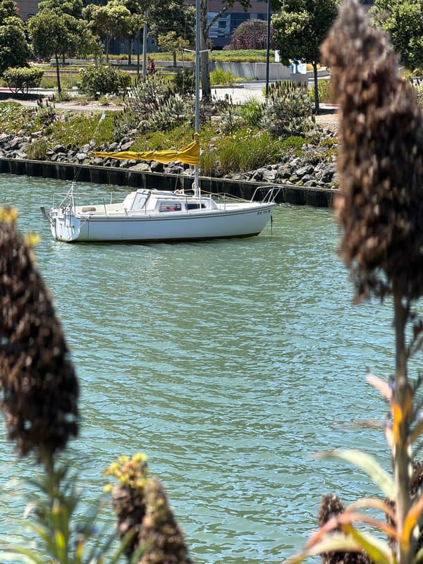 White sailboat docked at a sunny South San Francisco waterfront