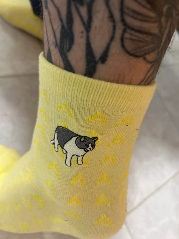 Person rests at home with pet cat during afternoon
