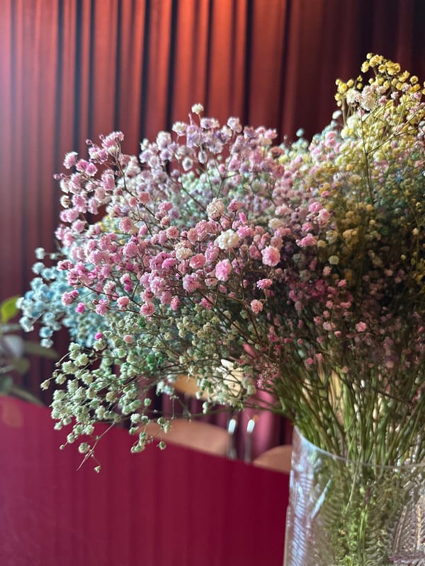 Close-up floral photography across four flower varieties