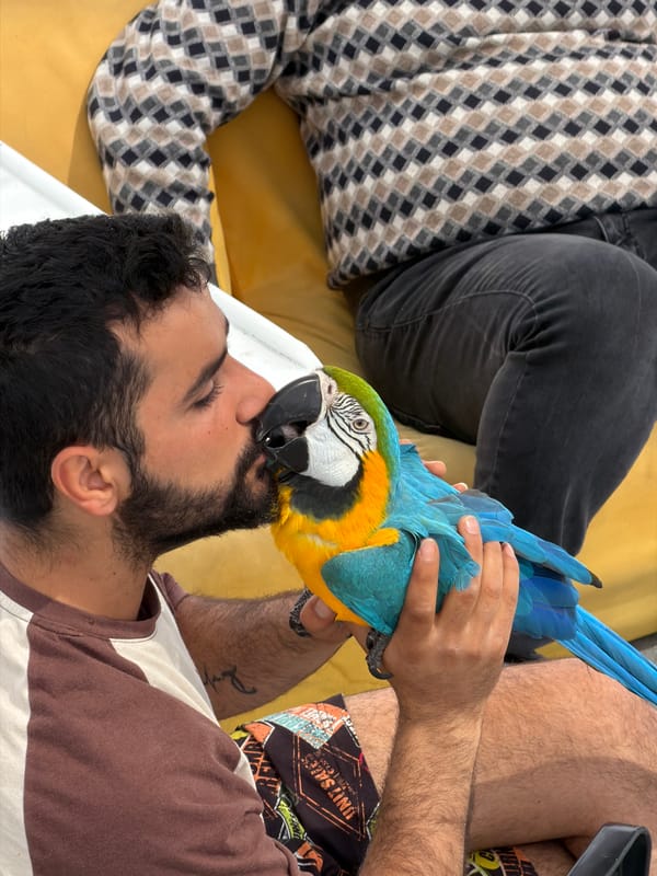 Coastal boat trip documented along Turkish Mediterranean waters
