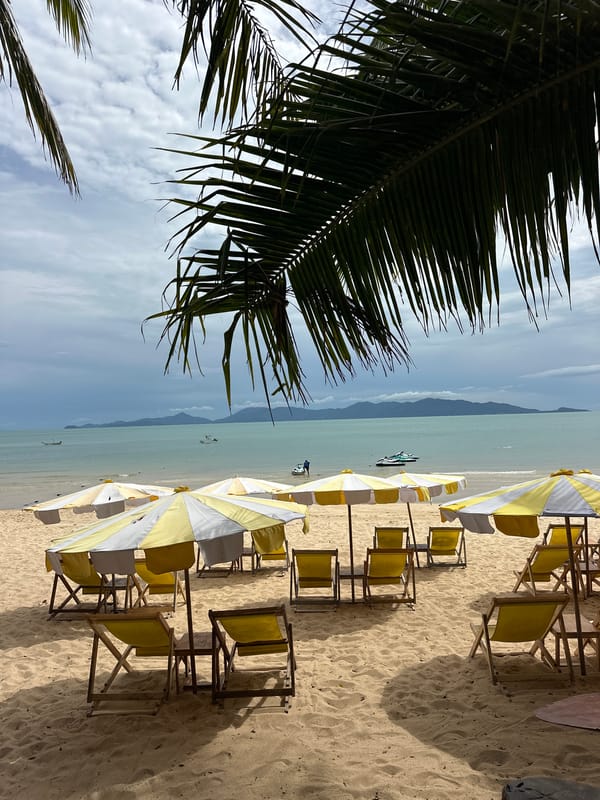 Rows of empty beach chairs on a quiet Ko Samui shore