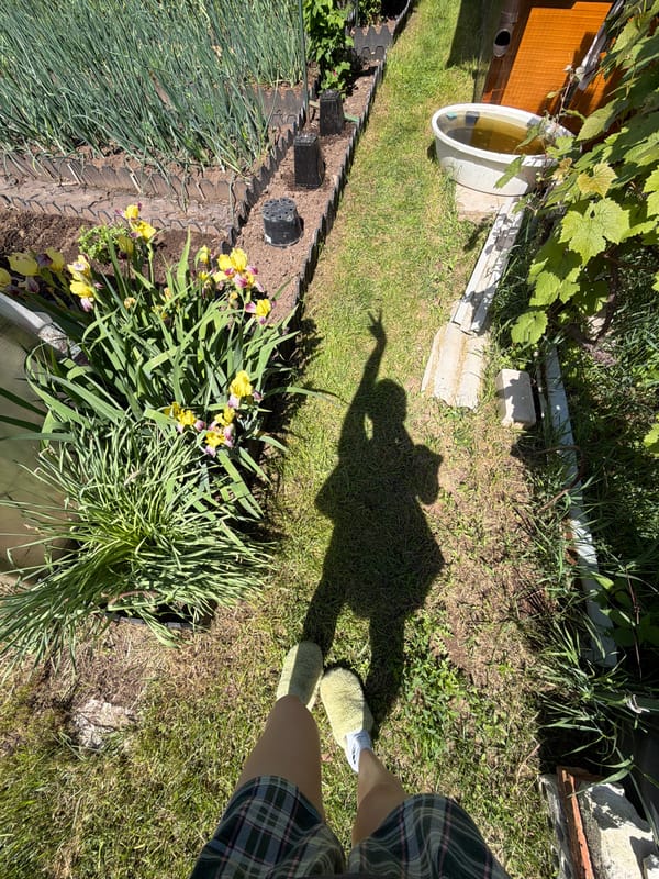 Morning maintenance work and cat sighting in Chaikovsky, Russia