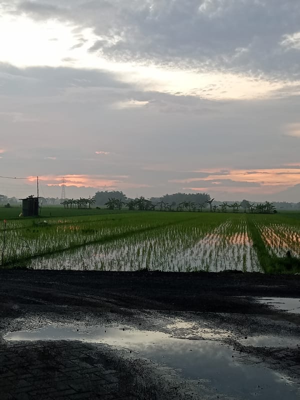Rural Bungur landscape captured during twilight hours