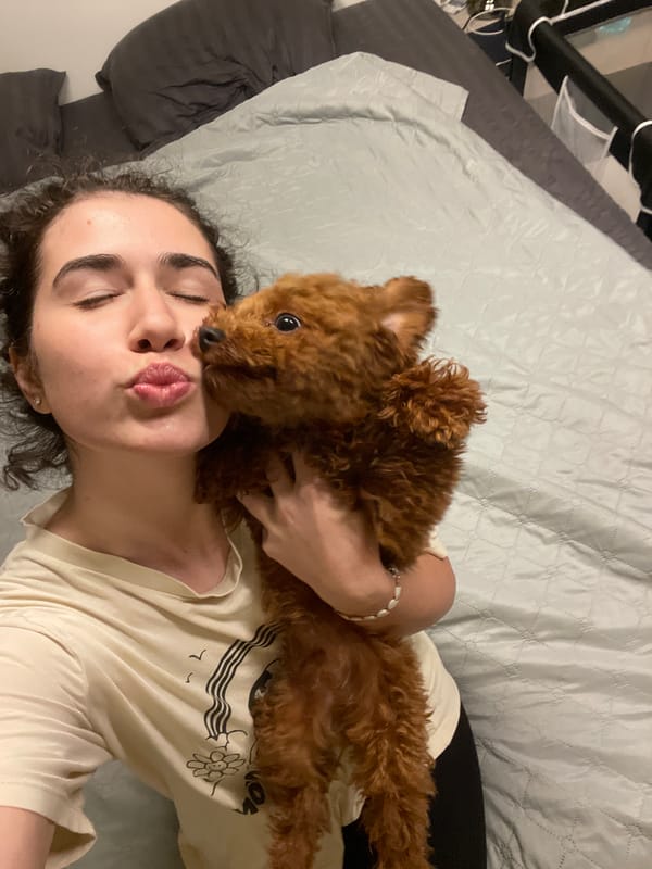 Quiet domestic moments with pets and flowers in Sofia