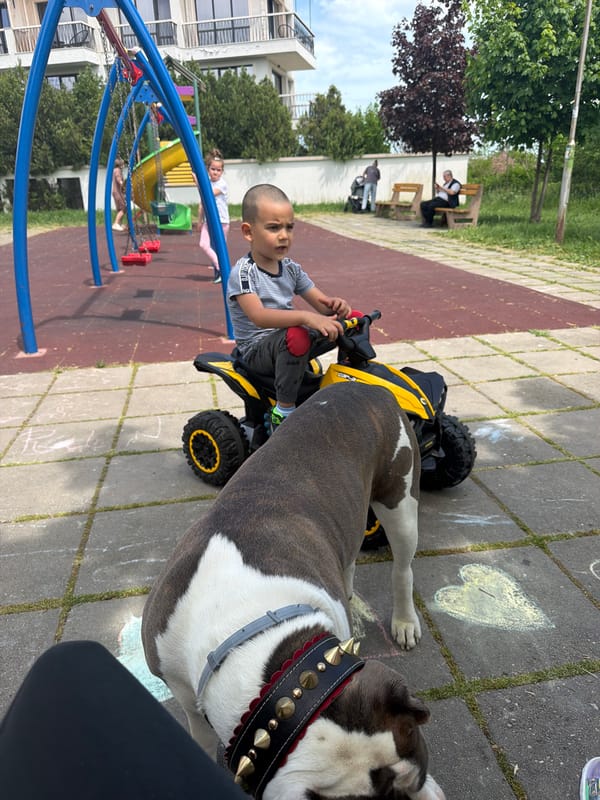 Child plays on toy ATV with dog in Burgas