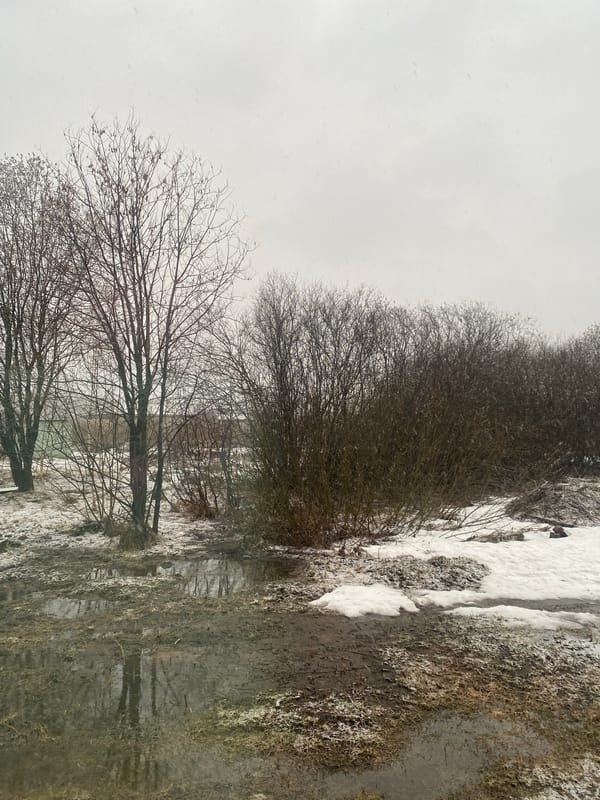 Child's winter afternoon activities documented in Izhevsk, Russia