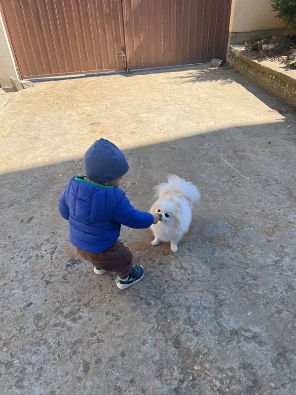 Child plays with dog, picks dandelions in Lozen