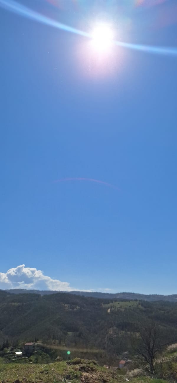 Spring morning documented across Bulgarian towns