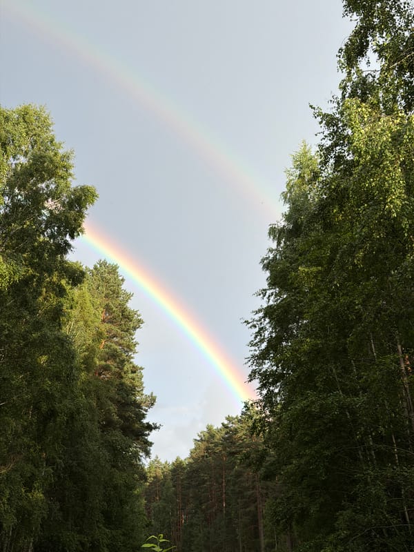 Double rainbows and pine forest paths outside Riga