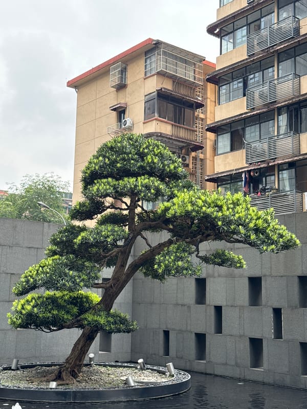 Morning street life documented across Jinjiang District, China