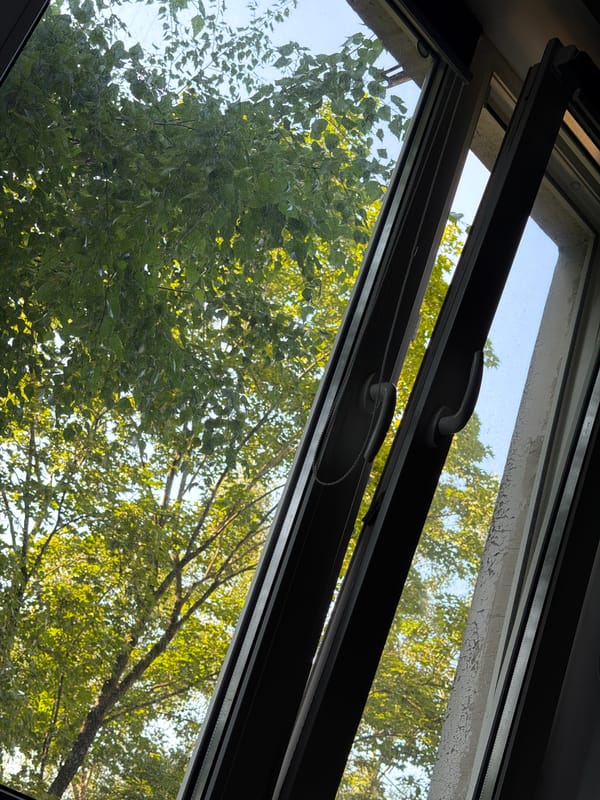 Window views and treetop canopy on a sunny Khimki morning
