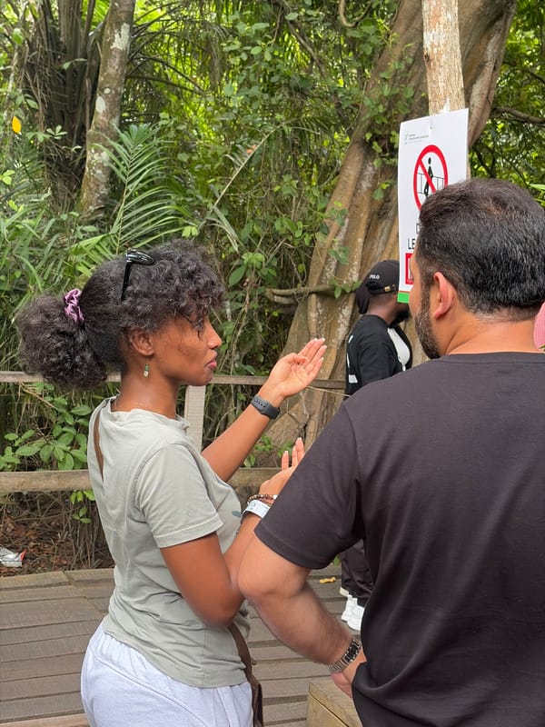 Visitors enjoy nature walk on Lekki boardwalk