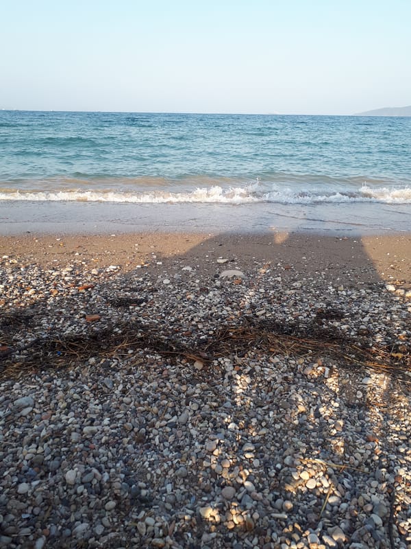 Calm pebble beach where gentle waves meet a clear shoreline