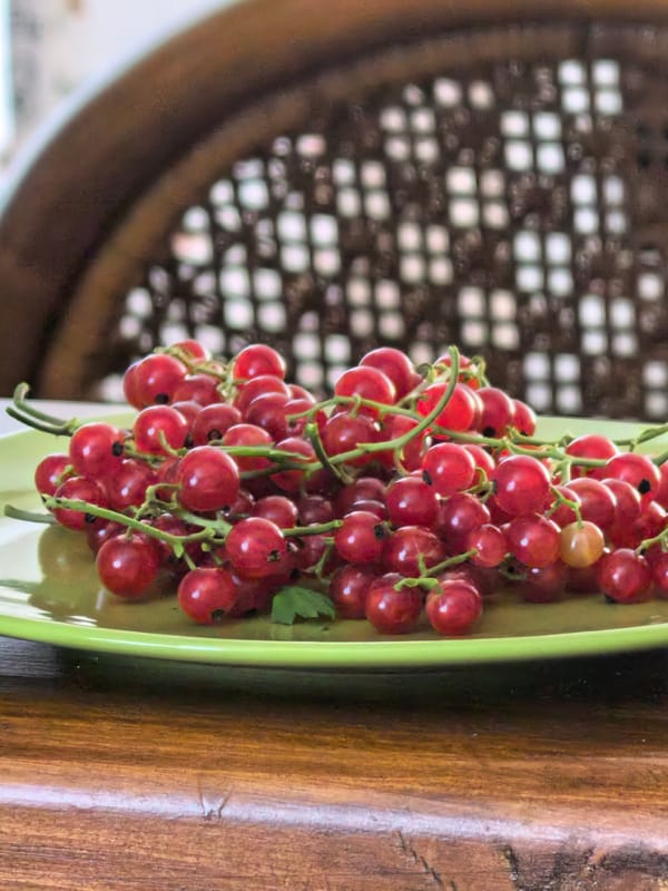 Tabletop still life: flowers, fruit, and tea things