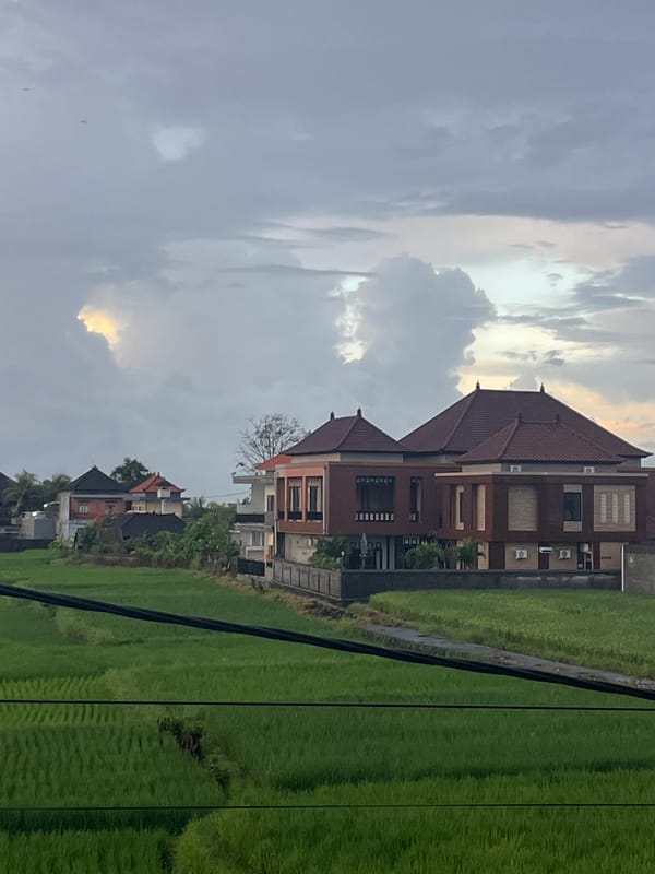 Rural landscape documented during evening rainstorm with flooded fields